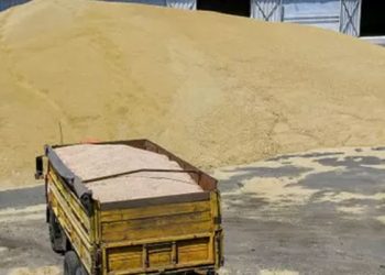 Rusya, Ukrayna'nın tahıllarını mı satıyor?