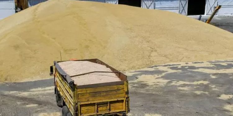 Rusya, Ukrayna'nın tahıllarını mı satıyor?