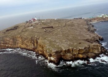 Rusya Yılan Adası'ndan çekildi