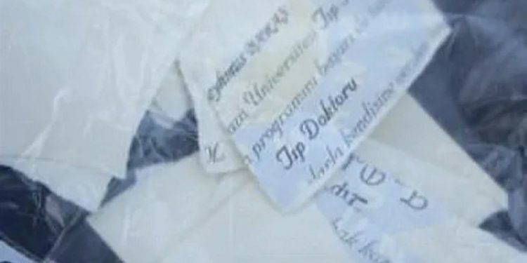 Saldırganlar serbest bırakılınca, doktor adliye önünde diplomasını yırttı