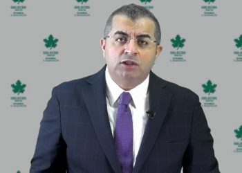 Serkan Özcan’dan BDDK’ya beş soru: Şirketler döviz talep ederse ne olacak?