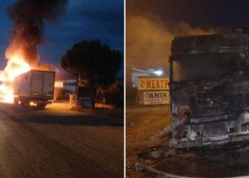 Seyir halindeki TIR alev aldı, sürücü canını son anda kurtardı