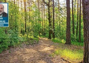 Sinek küçüktür ama mide bulandırır