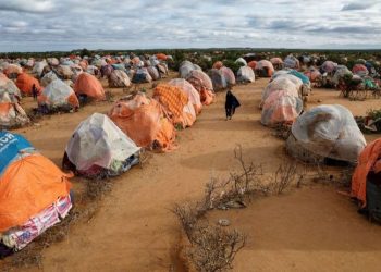 Somali Cumhurbaşkanından kuraklık nedeniyle yardım çağrısı