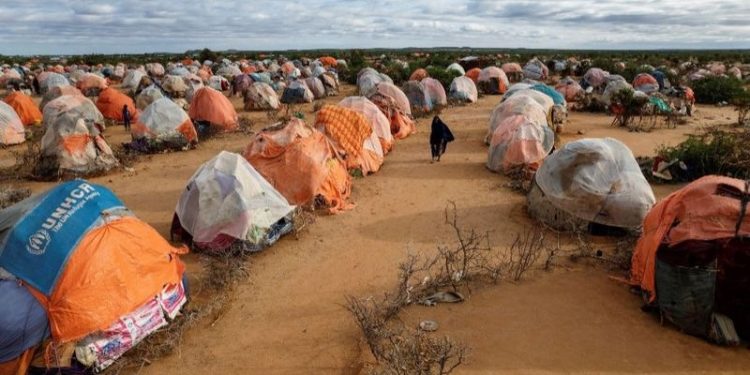 Somali Cumhurbaşkanından kuraklık nedeniyle yardım çağrısı