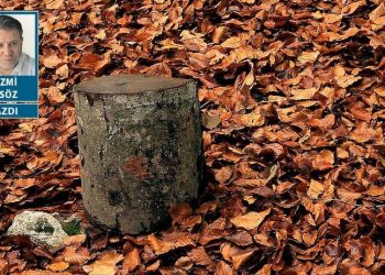 Söylesene, sana ne yaptık biz?..