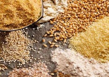 TMO, 2022 hububat alım detaylarını belirledi