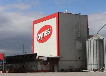 TMSF'ye devredilen Aynes Gıda satışa çıkarıldı
