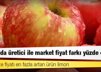 TZOB Başkanı Bayraktar: Elmada üretici ile market fiyat farkı yüzde 448