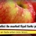 TZOB Başkanı Bayraktar: Elmada üretici ile market fiyat farkı yüzde 448