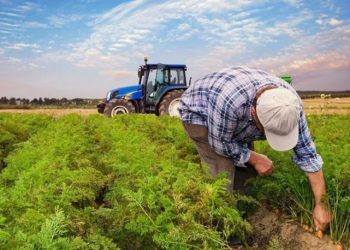 TZOB'dan çiftçilere ÇKS uyarısı