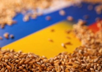 Tahıl krizi için İstanbul'da 4'lü zirve yapılacak