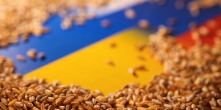 Tahıl krizi için İstanbul'da 4'lü zirve yapılacak