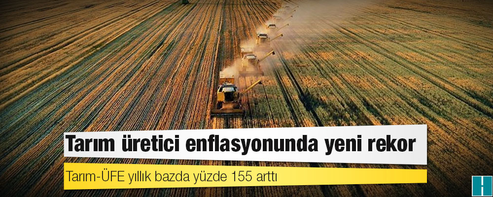 Tarım üretici enflasyonunda yeni rekor: Yıllık bazda yüzde 155 arttı