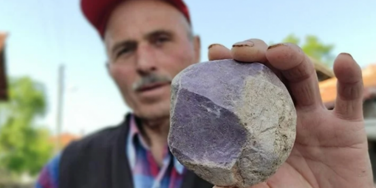 Tarlasında servet olduğunu çalındıktan sonra anladı: 'Japonların uğur taşıymış'