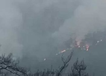 Tarım ve Orman Bakanı Kirişci, 51 hanede 151 kişinin tahliye edildiğini açıkladı