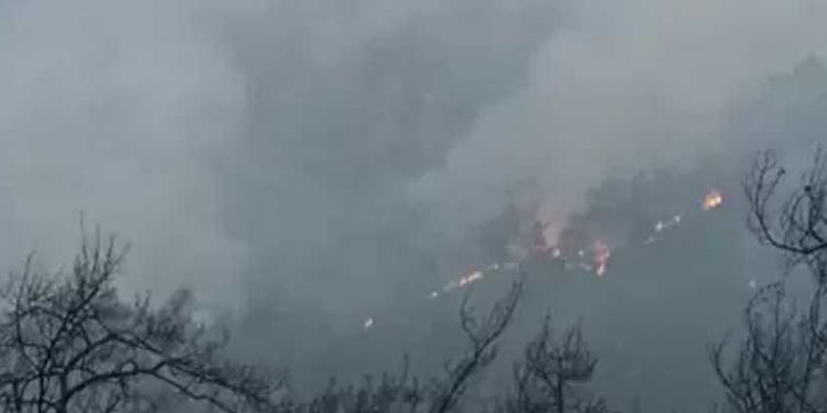 Tarım ve Orman Bakanı Kirişci, 51 hanede 151 kişinin tahliye edildiğini açıkladı