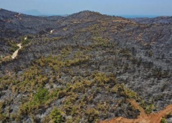 Tarım ve Orman Bakanı Vahit Kirişci: 'Yangın kontrol altına alındı'