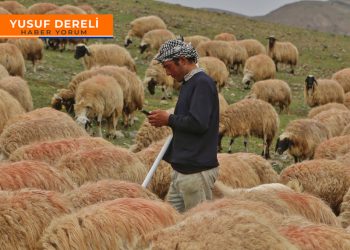 Tarım ve hayvancılığı Afgan çobanlar kurtaracak; ama nasıl?