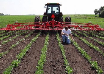 Tarımda üretici enflasyonu mayısta yıllık yüzde 154,97 arttı