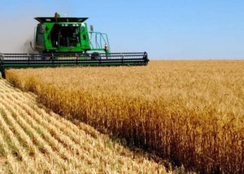 Tarımsal girdi enflasyonu rekorunu egale etti