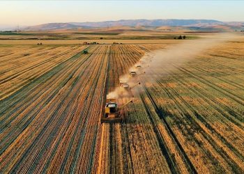 Tarımsal girdi fiyat endeksi nisanda yıllık yüzde 117,31 arttı