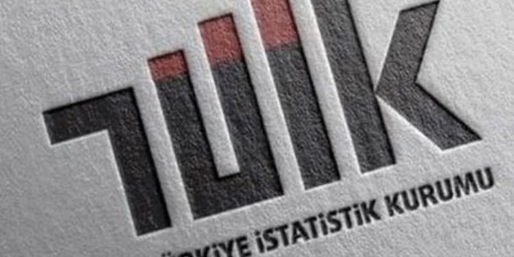 TÜİK: Yurt dışı üretici fiyat endeksi yıllık yüzde 100,54 oranında arttı