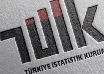 TÜİK'te yeni birim kuruldu: Bilgi Dağıtım ve İletişim Daire Başkanlığı