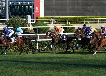 "Türk atçılığının derbisi" 96. Gazi koşusu yarın yapılacak; işte katılacak atlar ve jokeyler