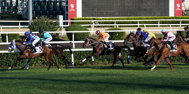 "Türk atçılığının derbisi" 96. Gazi koşusu yarın yapılacak; işte katılacak atlar ve jokeyler