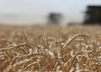 Türkiye gıda krizinde en riskli 11 ülkeden biri