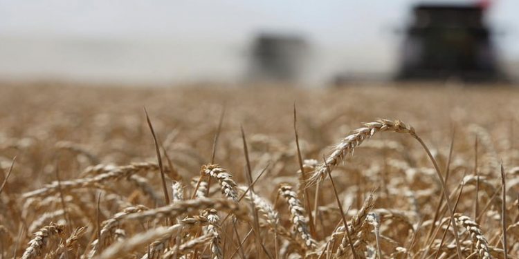 Türkiye gıda krizinde en riskli 11 ülkeden biri