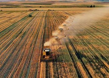 Türkiye, tarım yapmak için 10 ülkede arazi kiralayacak