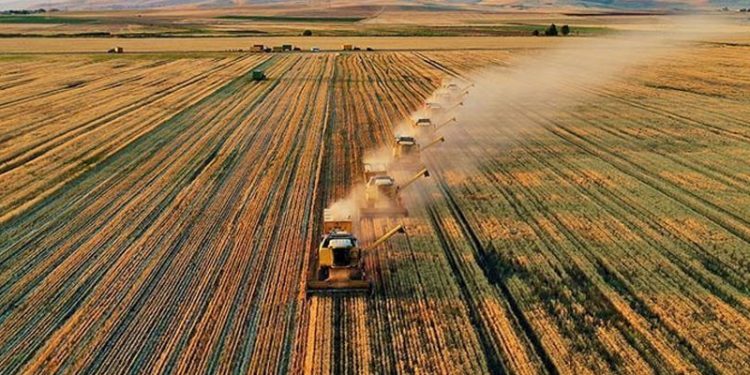 Türkiye, tarım yapmak için 10 ülkede arazi kiralayacak