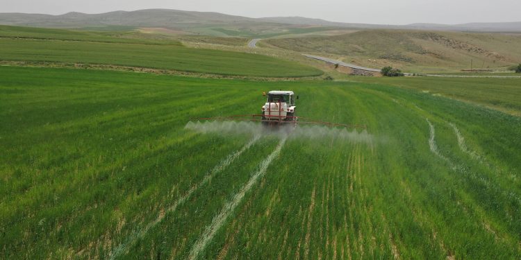 Türkiye tarım yapmak için 10 ülkeden arazi kiralayacak