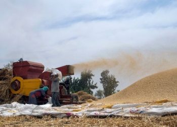 Ukrayna krizi Latin Amerika'yı da vurdu: BM'den 'en şiddetli gıda krizi yaşanabilir' uyarısı