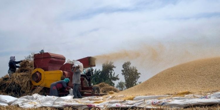 Ukrayna krizi Latin Amerika'yı da vurdu: BM'den 'en şiddetli gıda krizi yaşanabilir' uyarısı