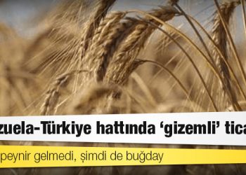 Venezuela-Türkiye hattında ‘gizemli’ ticaret: 1 gram peynir gelmedi, şimdi de buğday…