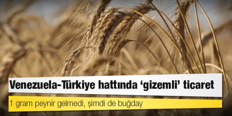 Venezuela-Türkiye hattında ‘gizemli’ ticaret: 1 gram peynir gelmedi, şimdi de buğday…