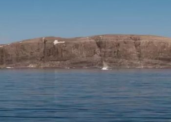 'Viski Savaşları': Kanada ile Danimarka'nın 50 yıllık 'ada kavgası' son buldu