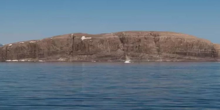 'Viski Savaşları': Kanada ile Danimarka'nın 50 yıllık 'ada kavgası' son buldu