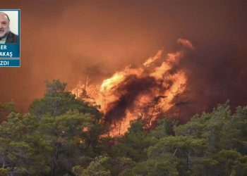 Yanan ormanlar konusunda önerim (3. kez)