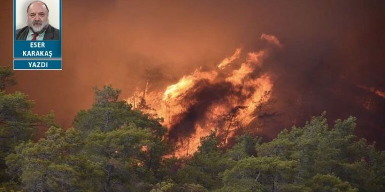 Yanan ormanlar konusunda önerim (3. kez)