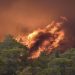 Yanan ormanlar konusunda önerim (3. kez)