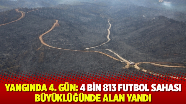 Yangında 4. gün: 4 bin 813 futbol sahası büyüklüğünde alan yandı