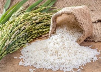 Yerli pirincin fiyatı yüzde 100, ithalin yüzde 153 arttı