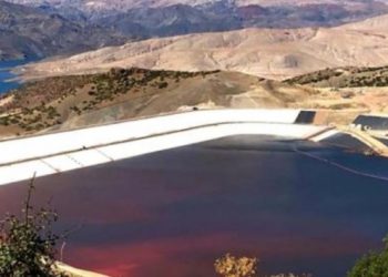 Yeşiller ve Sol Gelecek Partisi'nden Erzincan İli&ccedil;'teki siyan&uuml;r sızıntısı hakkına su&ccedil; duyurusu