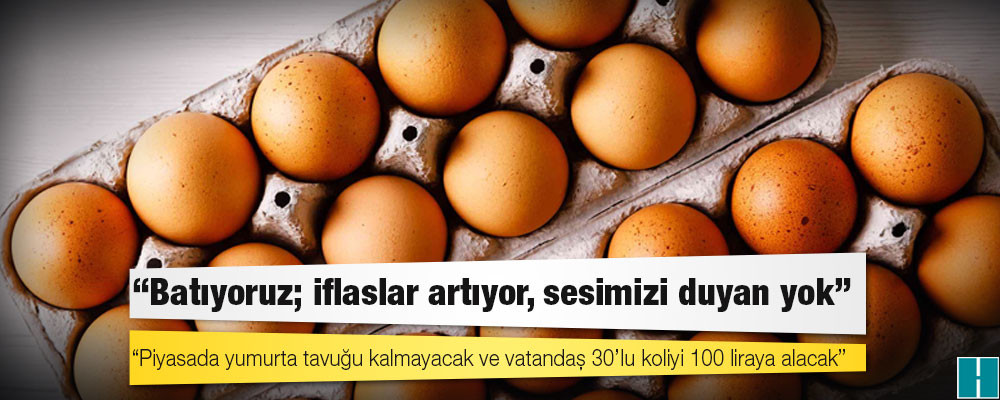 Yumurta üreticileri: Piyasada yumurta tavuğu kalmayacak; vatandaş 30’lu koliyi 100 liraya alacak