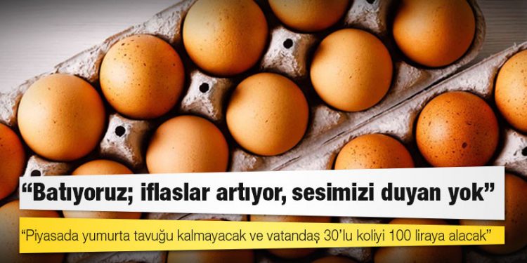 Yumurta üreticileri: Piyasada yumurta tavuğu kalmayacak; vatandaş 30’lu koliyi 100 liraya alacak