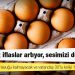 Yumurta üreticileri: Piyasada yumurta tavuğu kalmayacak; vatandaş 30’lu koliyi 100 liraya alacak
